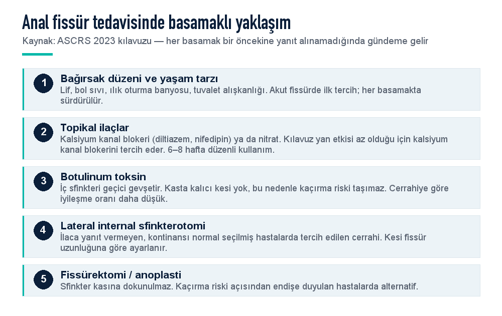 Anal fissür tedavisinde basamaklı yaklaşım: yaşam tarzı, topikal ilaçlar, botulinum toksin, lateral internal sfinkterotomi, fissürektomi