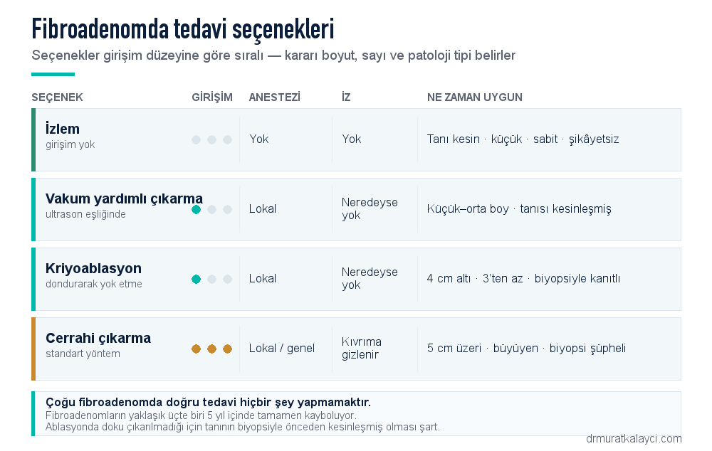 Fibroadenom tedavi seçenekleri karşılaştırması: izlem, vakum yardımlı çıkarma, cerrahi çıkarma ve kriyoablasyon; girişim düzeyi, anestezi, iz ve uygunluk ölçütleri