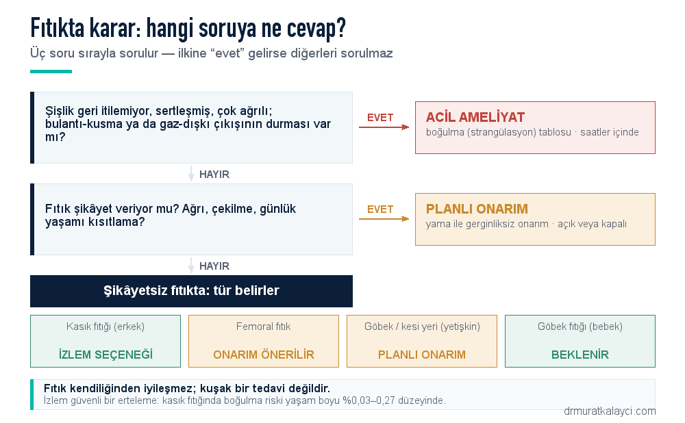 Fıtıkta karar şeması: boğulma bulguları varsa acil ameliyat, şikâyet veren fıtıkta planlı onarım, şikâyetsiz kasık fıtığında izlem seçeneği, femoral fıtıkta onarım önerilir, bebekte göbek fıtığında beklenir