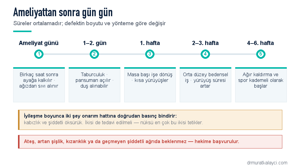 Göbek fıtığı ameliyatı sonrası iyileşme takvimi: ameliyat günü ayağa kalkma, 1-2. gün taburculuk, 1. hafta masa başı işe dönüş, 2-3. hafta orta düzey iş, 4-6. hafta ağır kaldırma ve spor