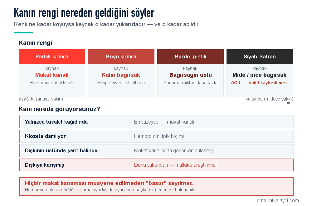 Makat kanamasında kanın rengine göre kaynak: parlak kırmızı makat kanalı, koyu kırmızı kalın bağırsak, bordo pıhtılı bağırsağın üstü, siyah katran gibi mide ve ince bağırsak