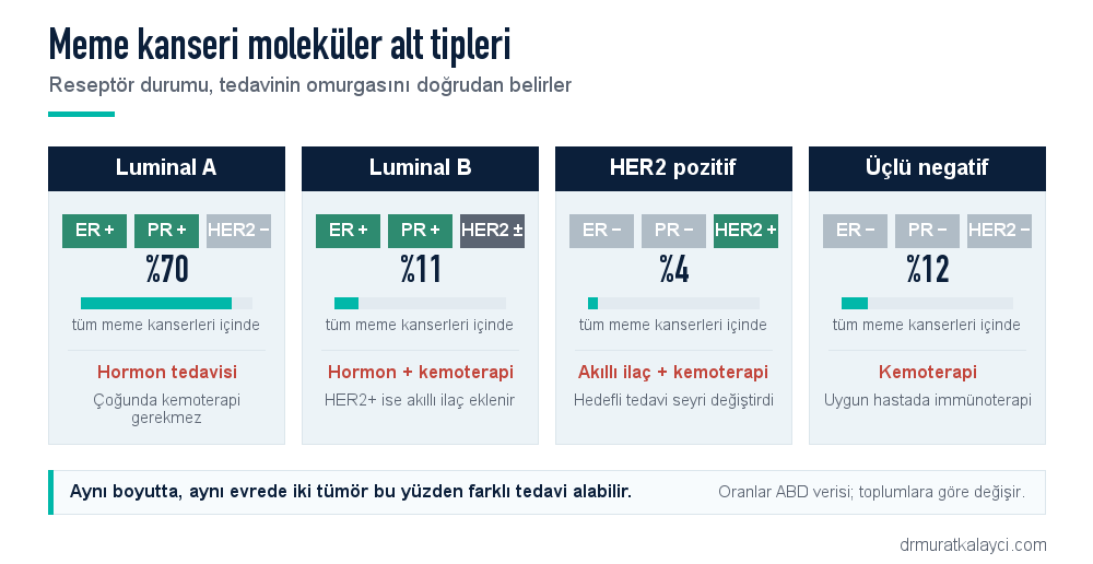 Meme kanseri moleküler alt tipleri: Luminal A yüzde 70 hormon tedavisi, Luminal B yüzde 11 hormon ve kemoterapi, HER2 pozitif yüzde 4 akıllı ilaç ve kemoterapi, üçlü negatif yüzde 12 kemoterapi