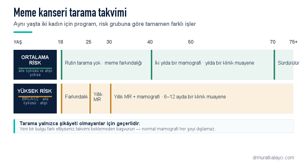 Meme kanseri tarama takvimi: ortalama riskte 40 yaşından itibaren iki yılda bir mamografi ve yılda bir klinik muayene; yüksek riskte 18'den farkındalık, 25'ten 6-12 ayda bir muayene, 25-29 yıllık MR, 30 sonrası yıllık MR ve mamografi