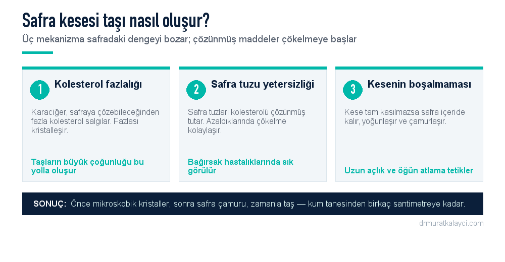 Safra kesesi taşının oluşum mekanizmaları: kolesterol fazlalığı, safra tuzu yetersizliği ve kesenin yeterince boşalmaması