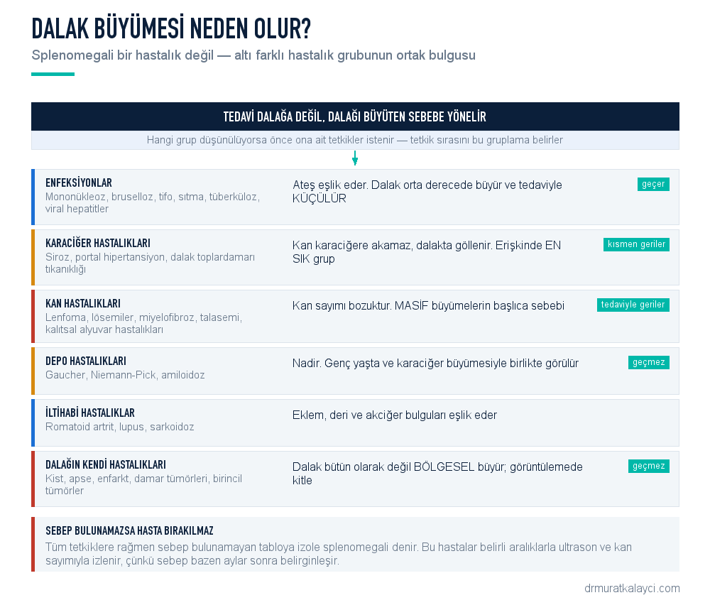 Dalak büyümesi nedenleri altı grupta: enfeksiyonlar, karaciğer hastalıkları ve portal hipertansiyon, kan hastalıkları, depo hastalıkları, iltihabi hastalıklar ve dalağın kendi hastalıkları