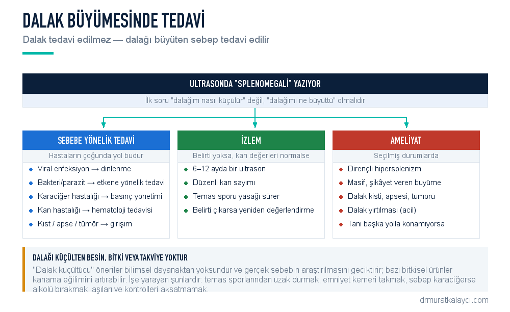 Dalak büyümesinde tedavi yolları: sebebe yönelik tedavi, izlem, ameliyatsız dalak embolizasyonu ve ameliyat gerektiren durumlar