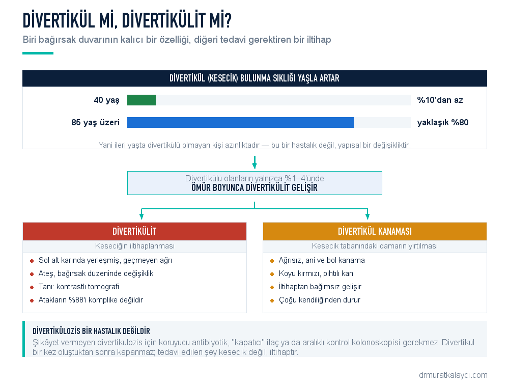 Divertikül, divertikülozis, divertikül hastalığı ve divertikülit arasındaki fark; divertikülü olan kişilerin yüzde 1 ila 4’ünde divertikülit gelişir