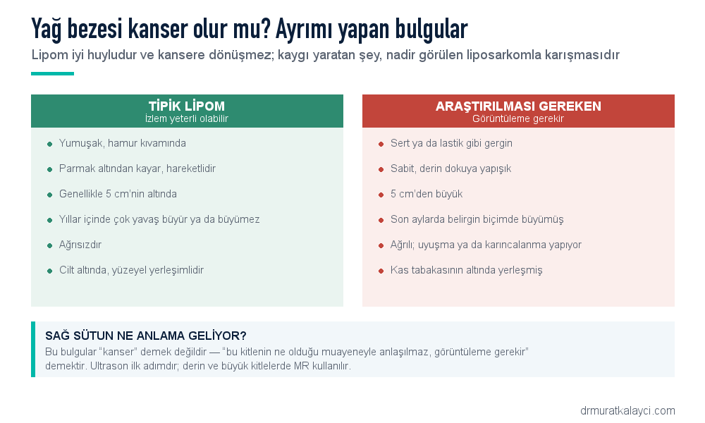 Tipik lipom ile araştırılması gereken kitlenin karşılaştırması: kıvam, hareketlilik, boyut, büyüme hızı, ağrı ve derinlik