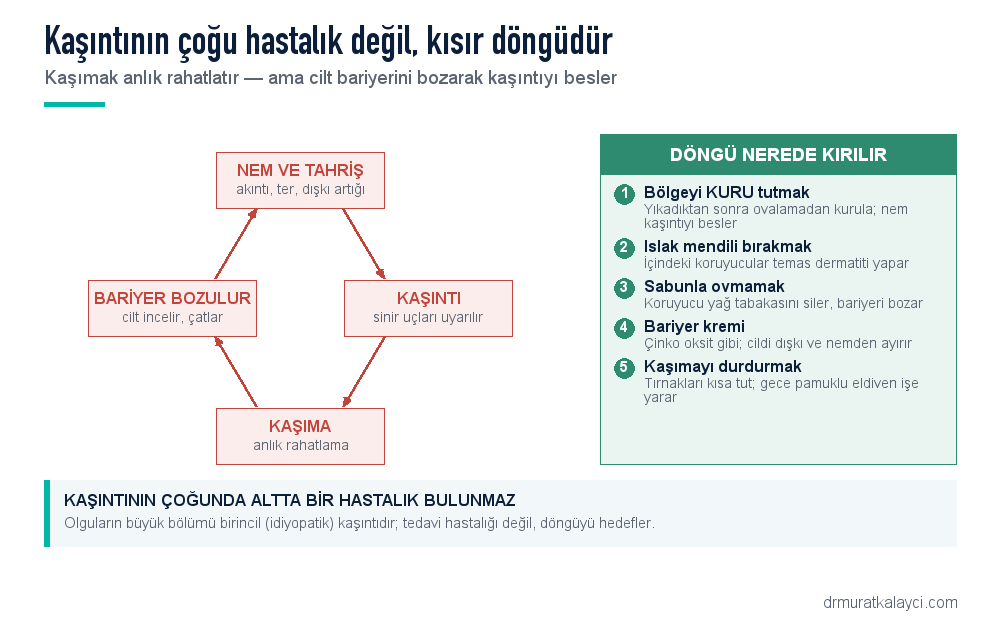 Makat kaşıntısının kısır döngüsü: nem ve tahriş, kaşıntı, kaşıma, cilt bariyerinin bozulması ve döngüyü kıran beş adım
