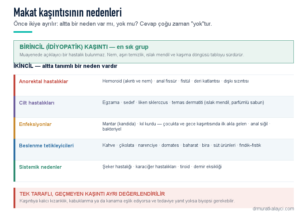 Makat kaşıntısının nedenleri: birincil idiyopatik kaşıntı ve ikincil nedenler — anorektal hastalıklar, cilt hastalıkları, enfeksiyonlar, beslenme tetikleyicileri, sistemik nedenler