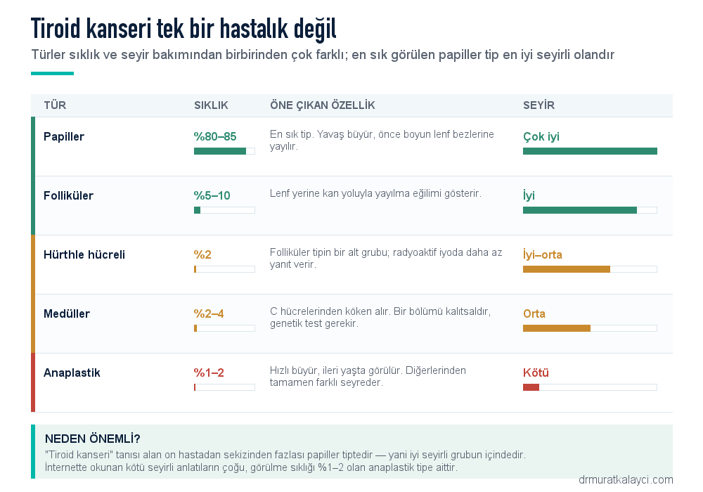 Tiroid kanseri türleri: papiller, folliküler, Hürthle hücreli, medüller ve anaplastik tiplerin sıklık, özellik ve seyir karşılaştırması